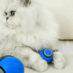 Interactive Electric Rolling Ball - Image 13